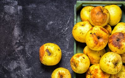 Food waste: How new tech is tackling a global problem