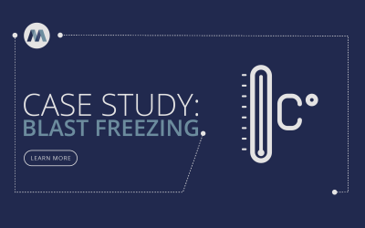 Blast Freezing Case Study