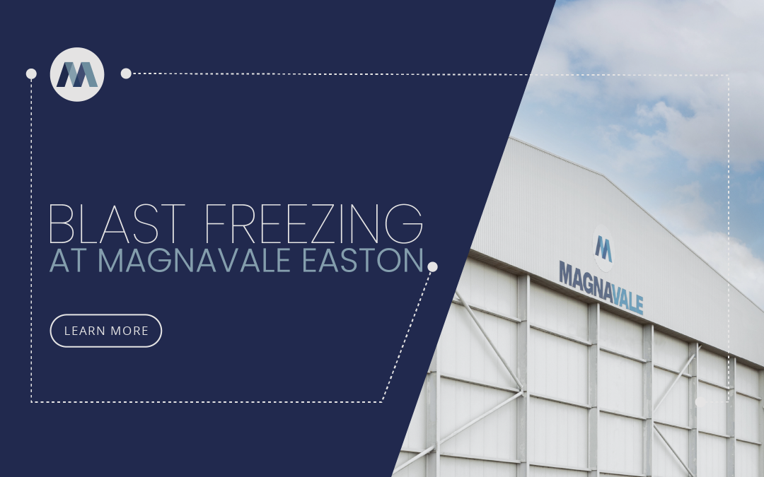 Magnavale Easton Expands Service Portfolio with Blast Freezing