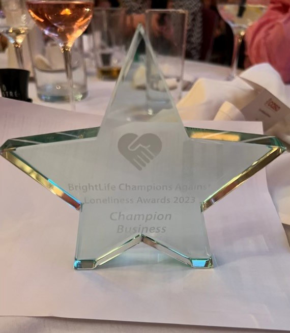 Magnavale Awarded Brightlife’s Business Champion