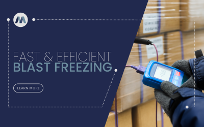 What is a Blast Freezer?