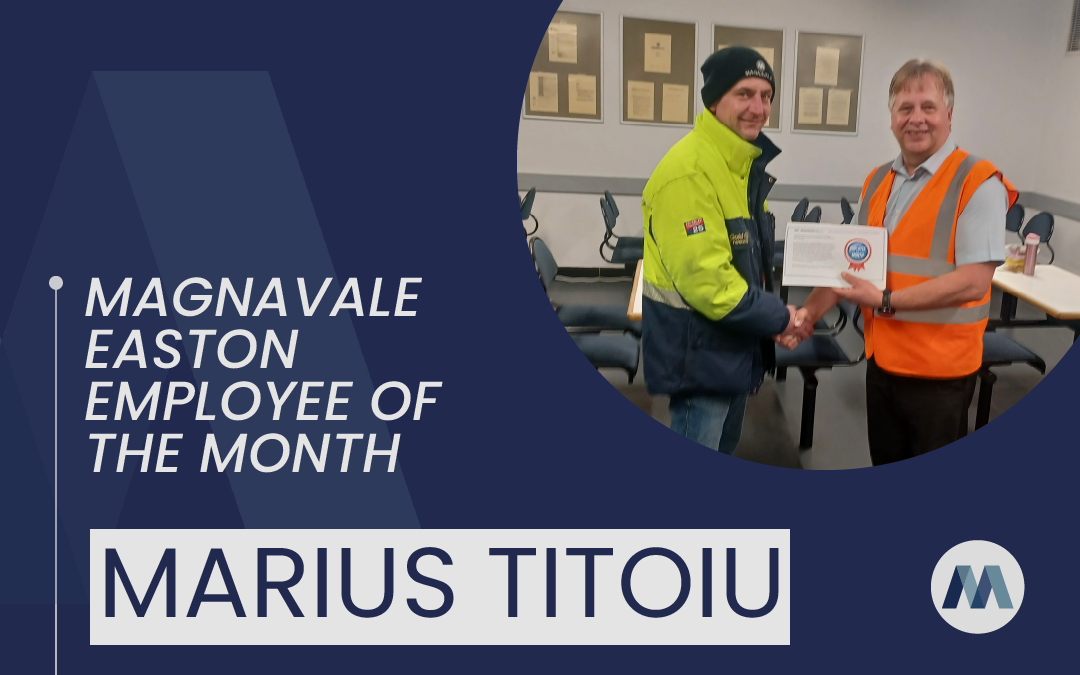 Magnavale Easton Ltd Employee of the Month: Marius Titoiu